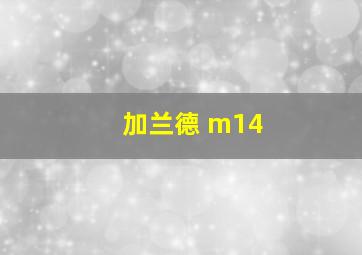 加兰德 m14